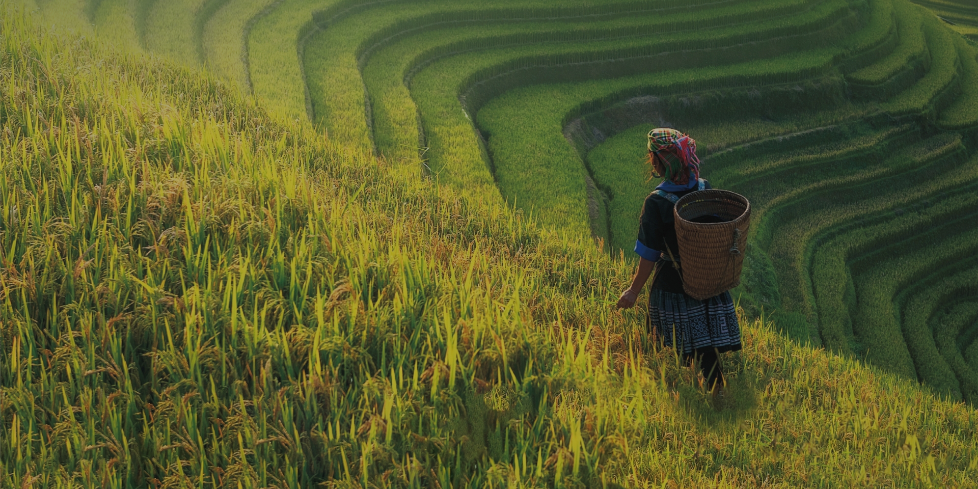 蒙自源-品牌實力